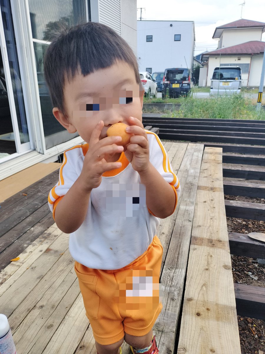 ubaubako's tweet photo. 36週3日
24週〜頸管長10㍉前後で経過中
。このまま満期までいきそうだな☺️保育園がおわったら、じゃがいも収穫しておいしいねって晩御飯で食べたり、ビワをとってその場で食べたり。こういうのって、すごく大事な教育になってると思う✨家庭菜園が趣味でよかった♥️「ごちそうさま」 https://t.co/HrFCeXNDH5