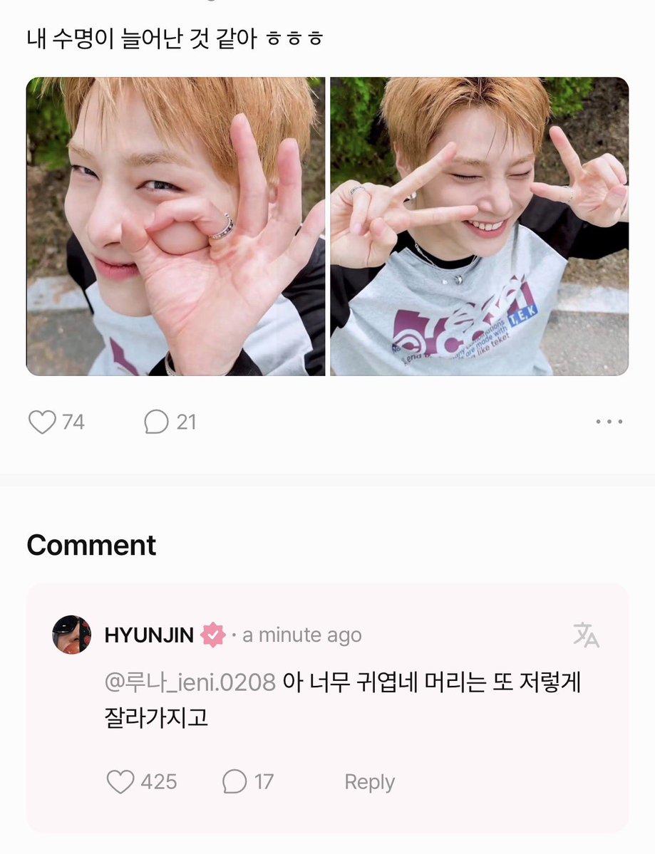 비니 tweet media