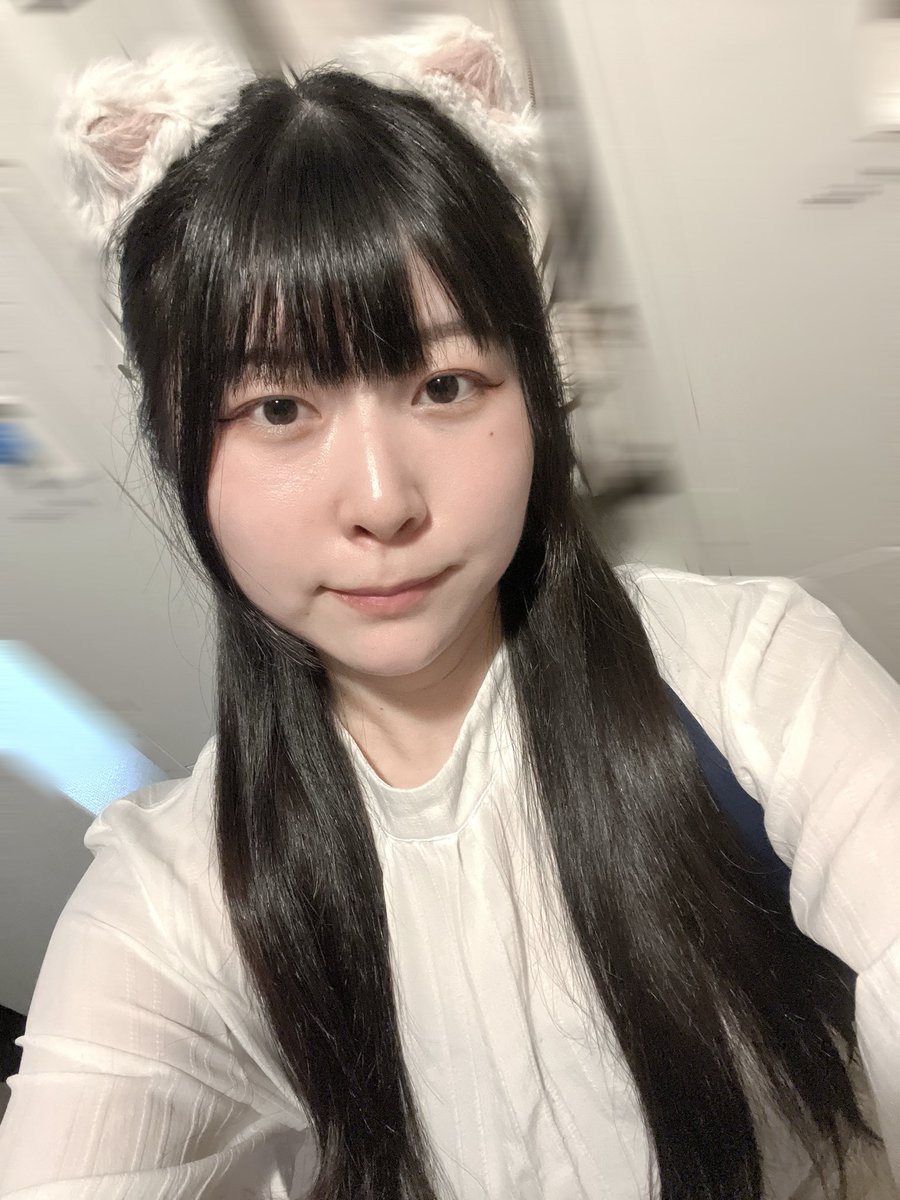 ミリ＠みけねこカフェ池袋 tweet media
