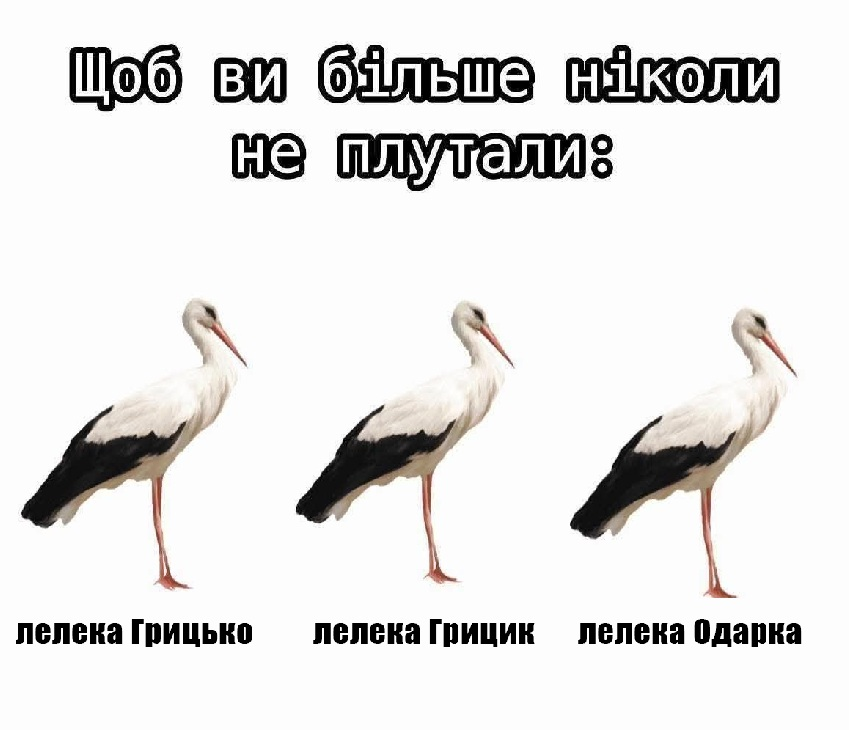 poltavazmist's tweet photo. Перестаньте плутати лелек https://t.co/8PQRIdL5n3