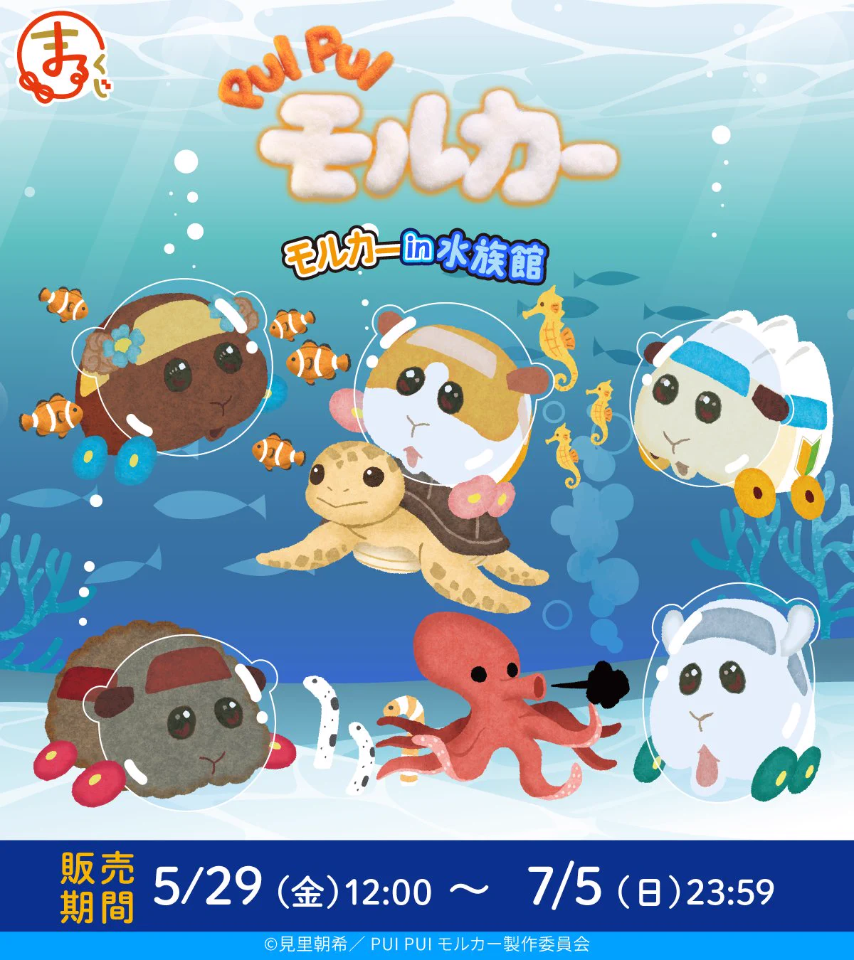PUI PUI モルカー【公式】 on X: 