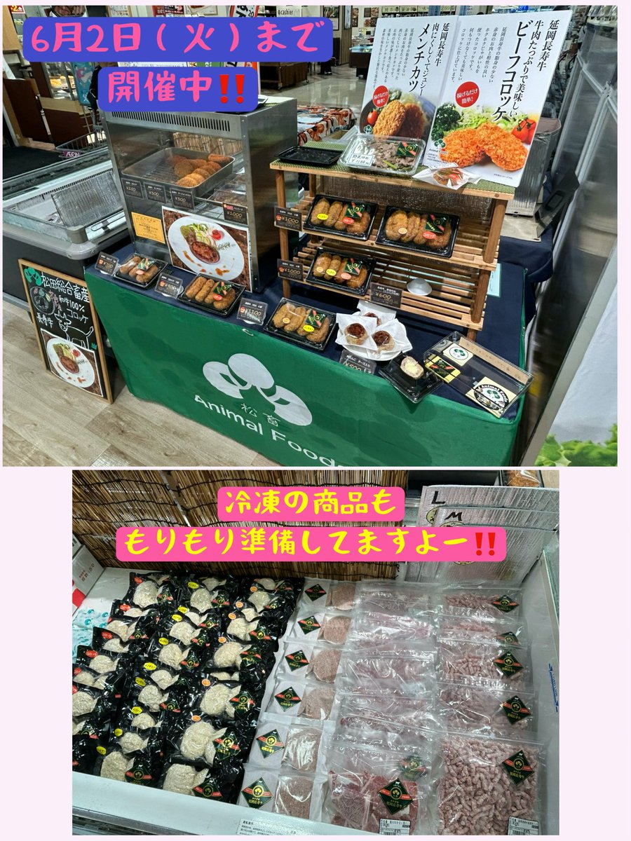 Animal_Foods's tweet photo. 昨日より6月2日（火）まで
イオン延岡ショッピングセンターに
に出店しております‼️

期間中は、
松畜のコロッケ、メンチカツ、チーズメンチ、ガンガン揚げますよー❗️

最近は
顔見知りのお客様も増えて、
店頭でのおしゃべりも
嬉しい時間です😊

松畜自慢の生ハンバーグを店頭で焼いた
【焼きハンバーグ】や
【肉だんご】も
是非食べてほしいです‼️
遊びにきてくださーい😍

#イオン延岡ショッピングセンター
#延岡市
#延岡長寿牛
#コロッケ
#ハンバーグ