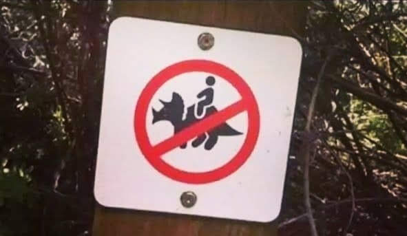 AlanMarcus15's tweet photo. and just like that the fun police have ruined my day https://t.co/WhMQnpBCHl