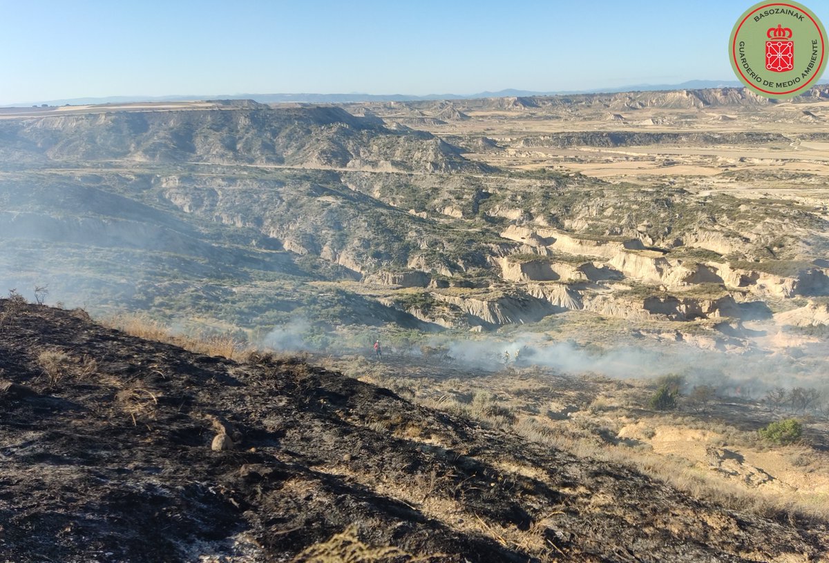Guardas_na's tweet photo. 🌡️ Con la llegada del periodo estival, desde el 1 de junio aumentan las restricciones en Navarra para reducir el riesgo de incendios forestales.
❌Quema de restos
🔥Uso de barbacoas
🚙Circulación por determinadas pistas y zonas forestales
Disfrutemos del monte con responsabilidad https://t.co/zcdQSoLTwA