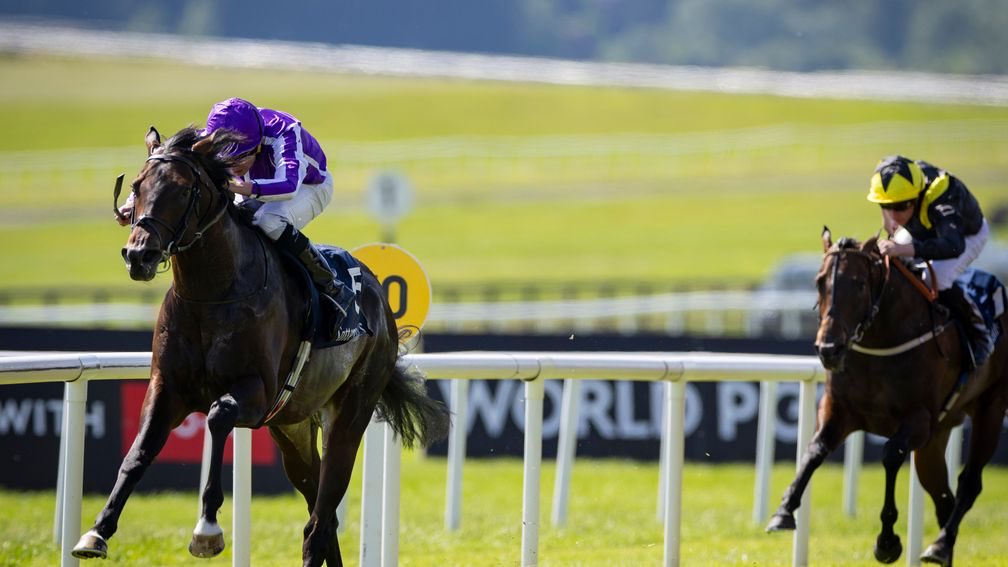 Capital Stud tweet media