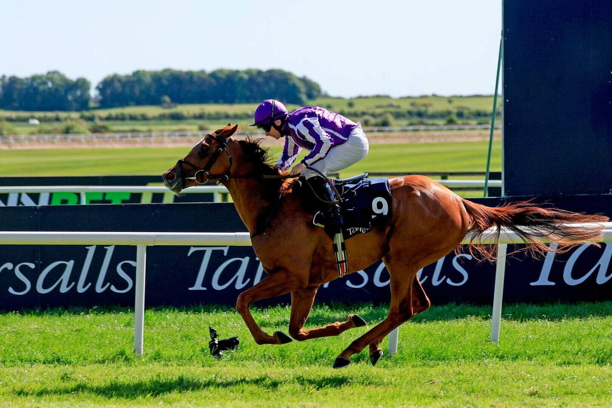 Capital Stud tweet media