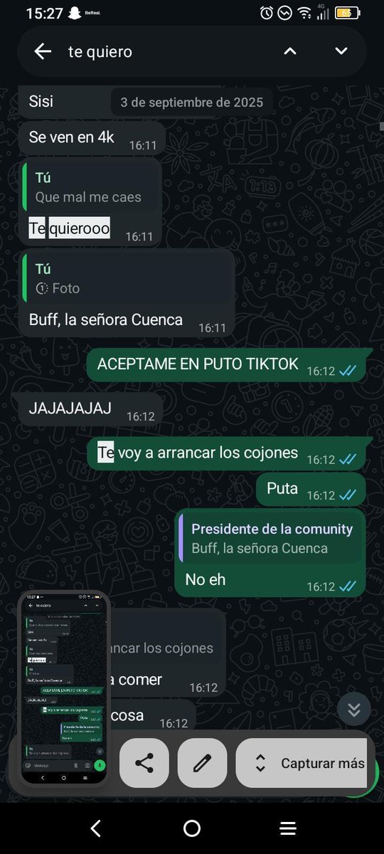 RequiemIrae tweet media