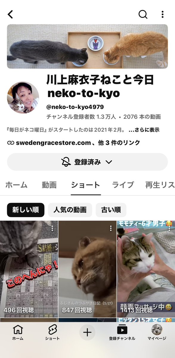 pakaran1966's tweet photo. 二代目マック物語更新！
.
『ダービーも当たるといいにゃ〜😹』
.
川上麻衣子さんのYouTube「ねこと今日」を見てにゃ😸

https://t.co/ulhsnV1zKK

#毎日がネコ曜日
#川上麻衣子 さん
#二代目マック #保護ネコ#アメリカンショートヘア #アメショー
#americanshorthair https://t.co/1krk5LdHpw