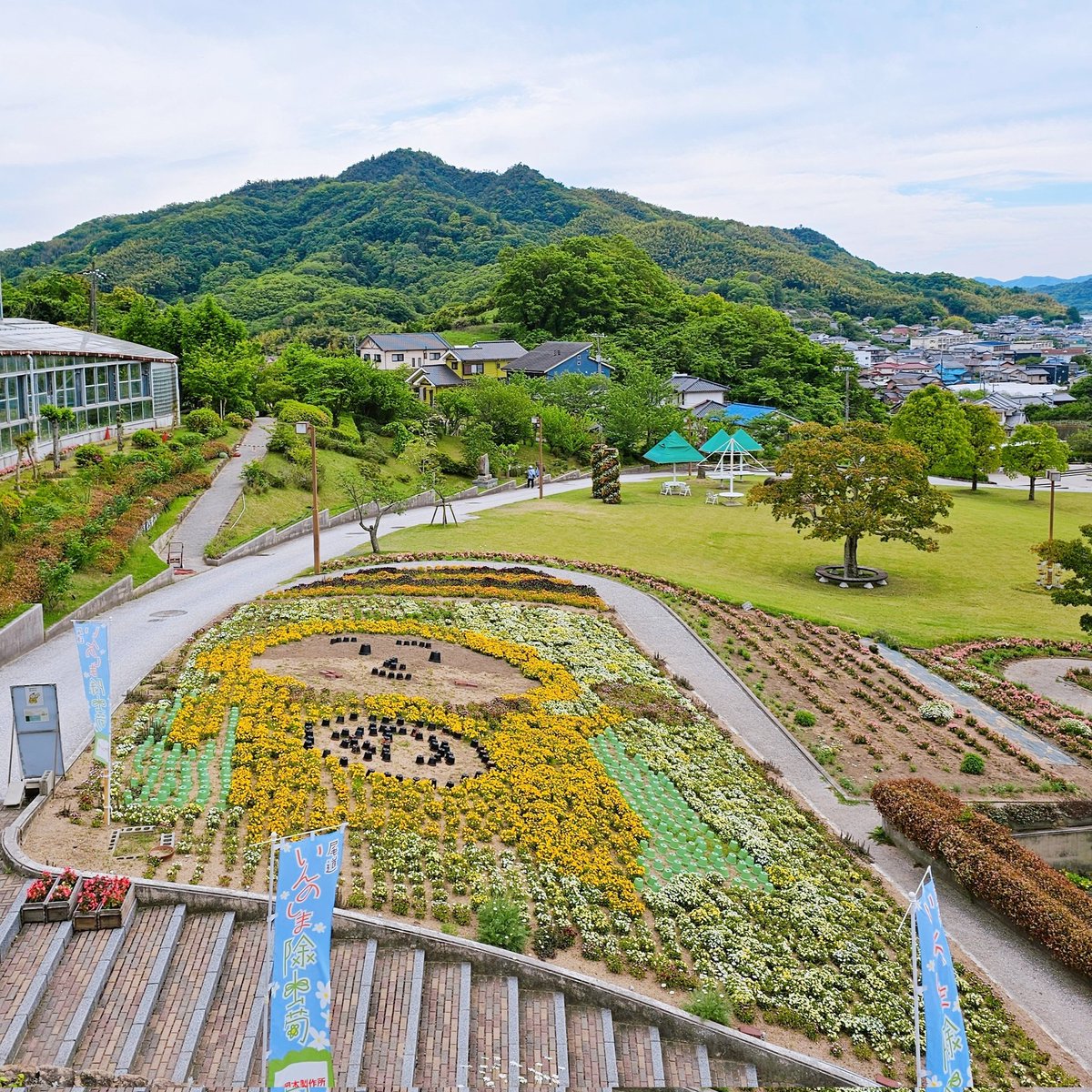 suigunjou's tweet photo. 5月のある日

#因島の風景

#因島 #はっさくん #除虫菊 https://t.co/eTLZQoNK0O