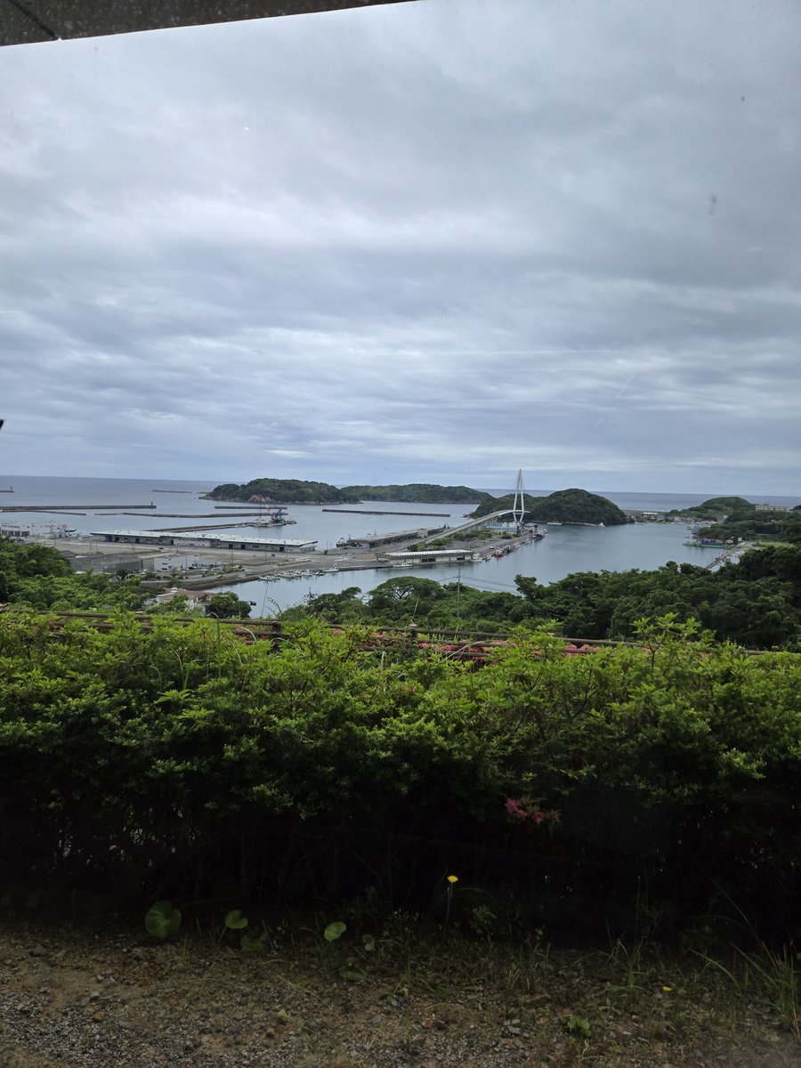 mikichocomilk's tweet photo. 島根に連チャンで仕事に行きよるけど
一番好きな県や！
気になっとった自販機にも行けたし😊❤しかもうどんうまい！
たまたま大型停めれたけ良かったけど💦
明日も仕事終わりに行こうかな…🤔
大型停めれるスペースあればええけど(・・)💦 https://t.co/4PQl63iJOG