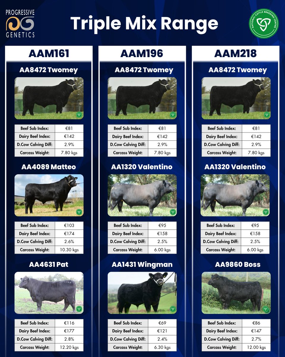 progressivegen's tweet photo. Progressive Genetics Ireland’s leading providers of Triple Mix Angus semen🏆

Our Triple Mix offering ticks all the boxes for Dairy farmers:

✅Easy Calving
✅Short Gestation
✅High Beef Merit

Contact your local PG breeding advisor to order your Angus Triple Mix straws today! 📞 https://t.co/etRSE6k8e0