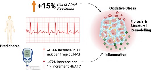 EJPCEiC's tweet photo. Even before diabetes develops, dysglycaemia may increase AF risk. ⚠️  
A meta-analysis including 26.4 million participants showed that prediabetes was associated with ⬆️15% risk of AF, supporting a dose–response relationship across glucose levels.
🔗https://t.co/KhJ8mp845N https://t.co/s1L9jepbXI