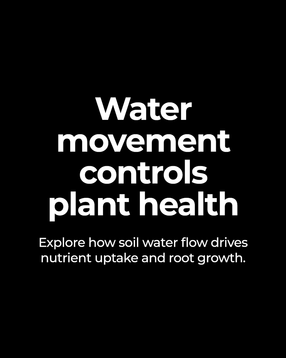 nanoferts's tweet photo. Watering plants is only half the story. Water movement in soil affects nutrient uptake, root health, and growth. Knowing this supports sustainable landscape management. #greenkeeper #coursemanager #greenkeepersuperintendent #superintendent #agronomist #turfscience https://t.co/XKg08y7IH8