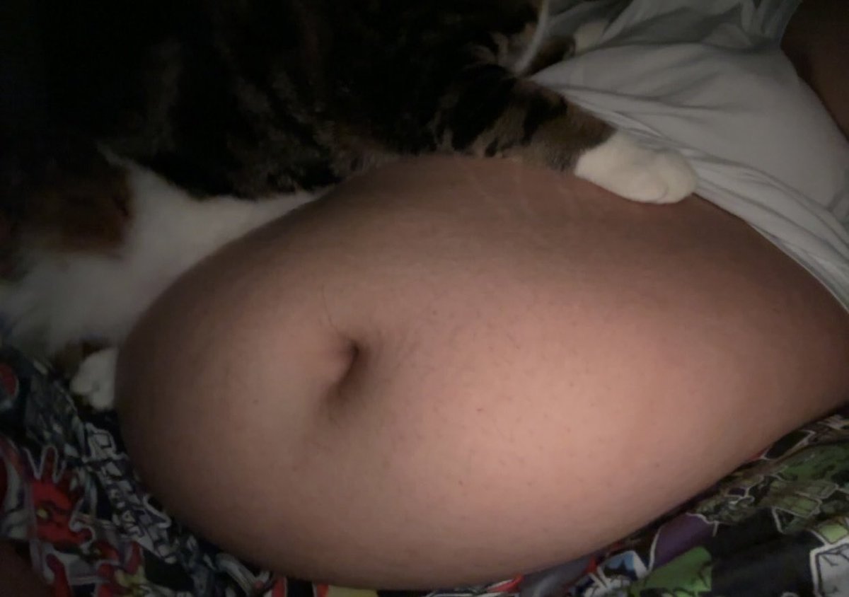 Growingpubby's tweet photo. My belly is so soft even my cat loves laying on it :3 

#Feedee #feedeebelly #feedism https://t.co/ahsTHzcOfp