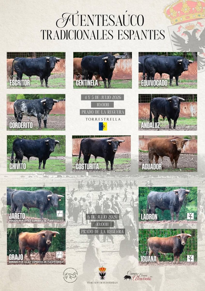 ATCIscar's tweet photo. Toros para los tradicionales espantes de Fuentesauco https://t.co/jkP9uch3ML