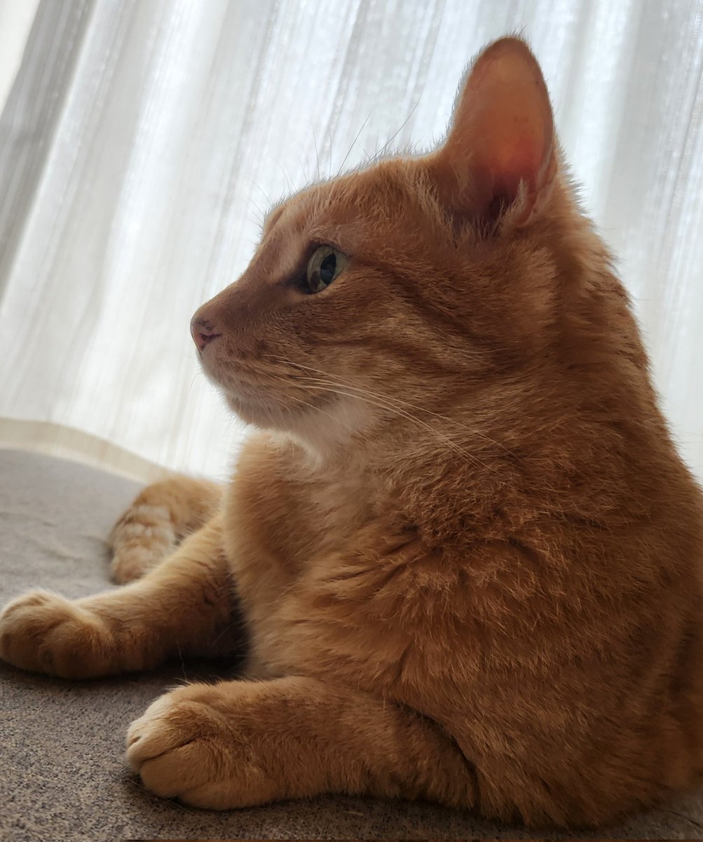 🌈🐈‍⬛ nae Ⅲ 🐈‍⬛🌈 (@_____nae_____) / Posts / X