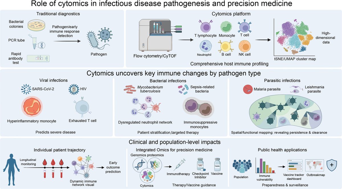 hLife_2023's tweet photo. Cytomics-driven insights for investigating host–pathogen interactions
Read more on hLife👇👇👇
https://t.co/Aiexfh9jg6 https://t.co/yw7Lbx2Ocg