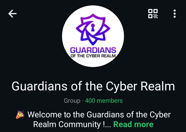 Guardians Of The Cyber Realm tweet media