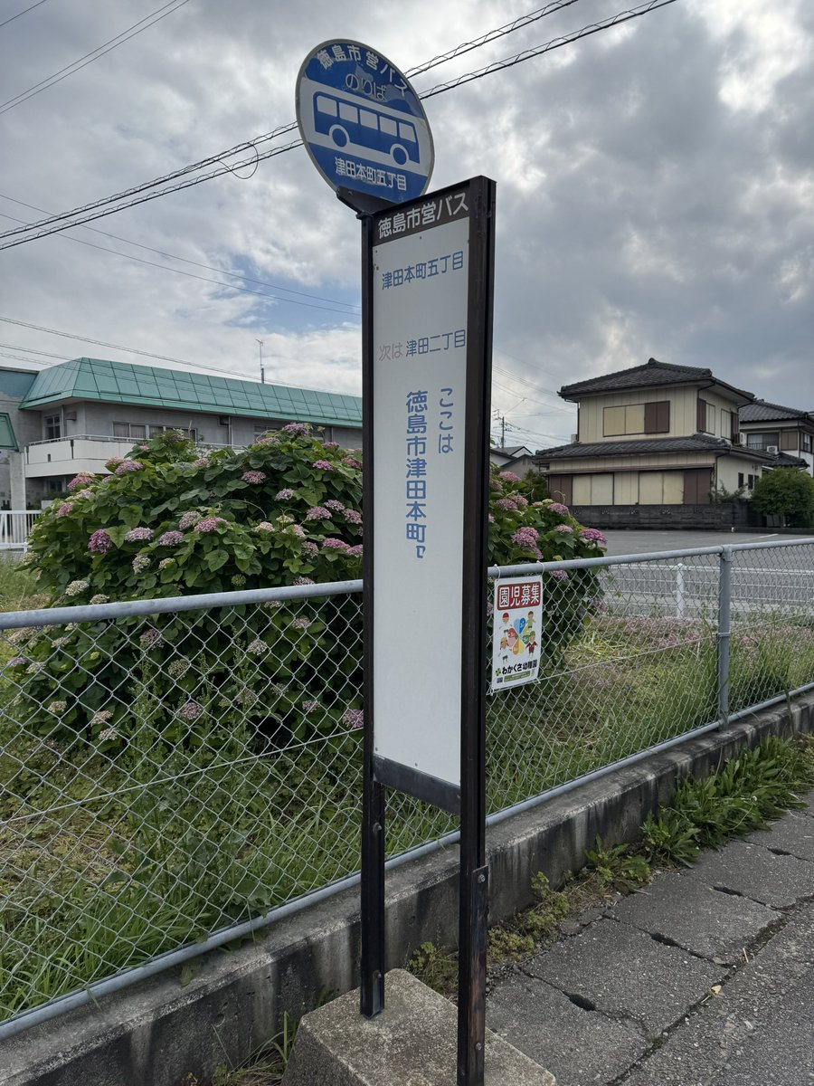 徳島バス『津田本町五丁目』停留所🚏バス停標識看板／通過予定時刻表