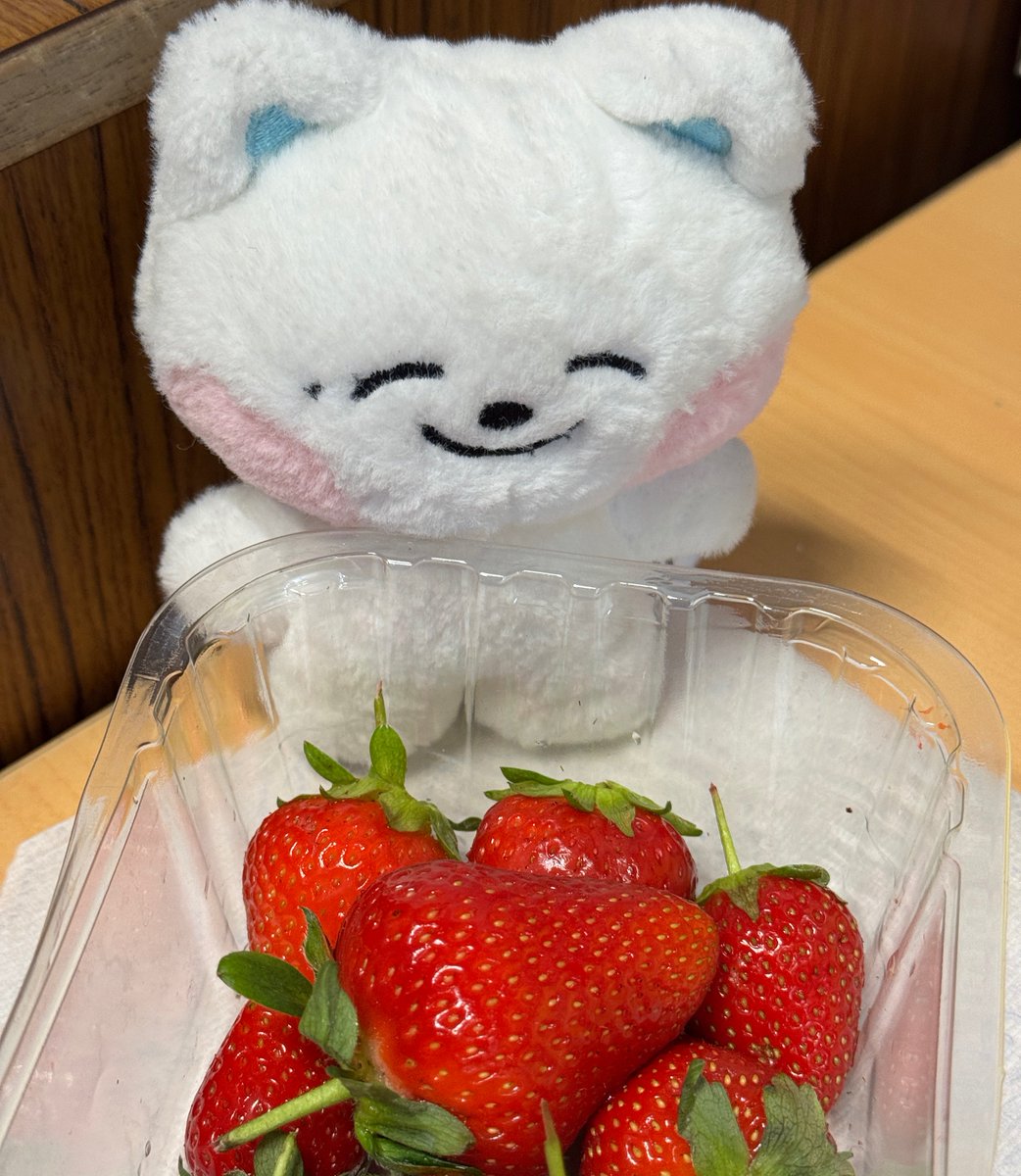 jjeddoit's tweet photo. jjed likes strawberries 🍓 https://t.co/GKKMgpuDVD