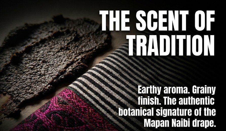 NEDispatch's tweet photo. #Manipur’s Indigenous Knowledge and #Biodiversity Take Centre Stage in Major #Northeast #India Research on biodiversity, medicinal plants, indigenous rice varieties, orchids, and traditional knowledge amid rising environmental threats.

https://t.co/JHfB9TIMVl https://t.co/ZOoy8k5sM2