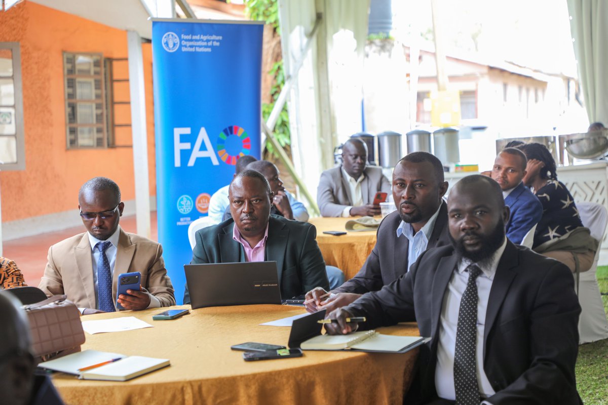 FAO in Uganda tweet media