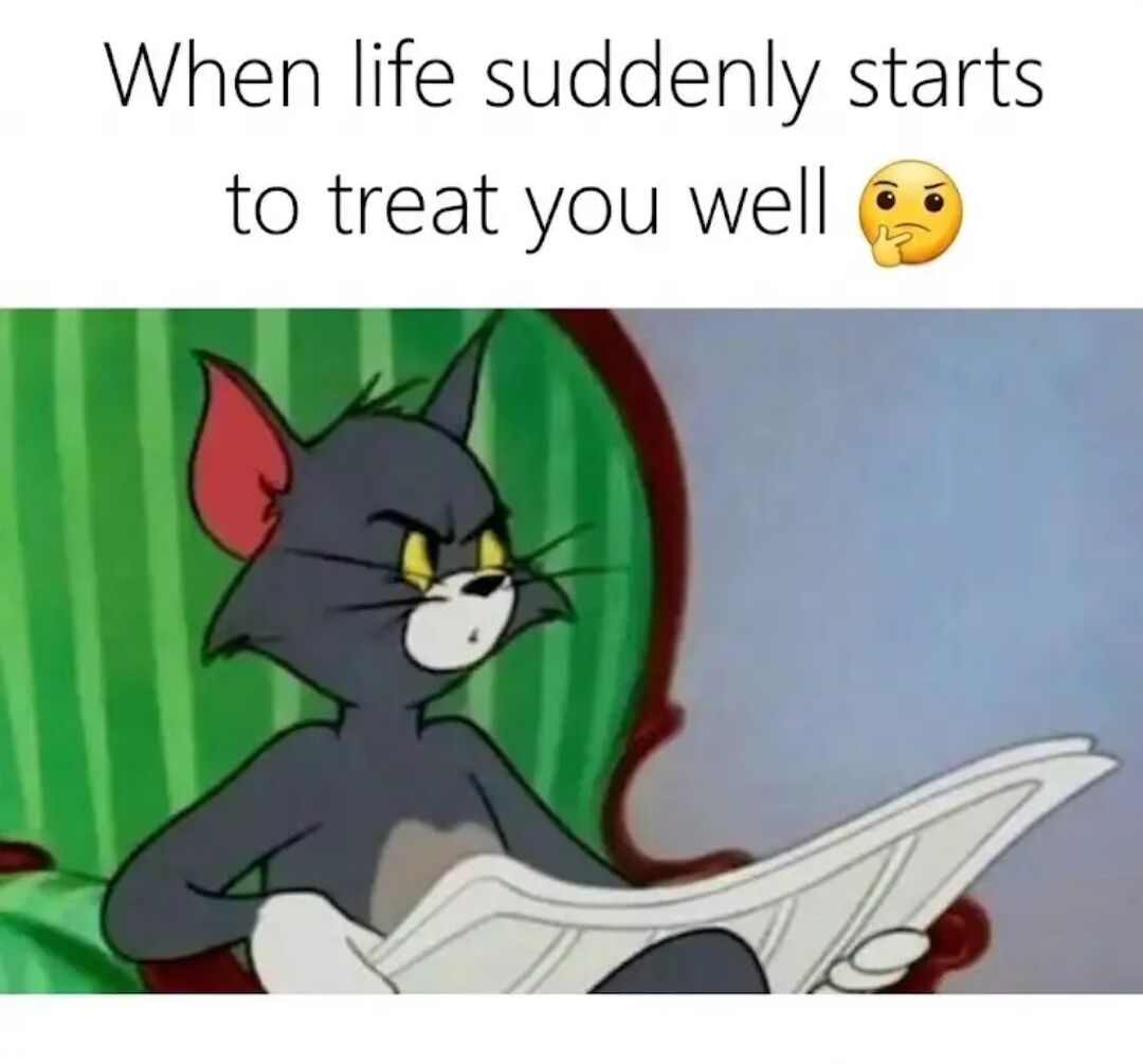 WholesomeMemes tweet media