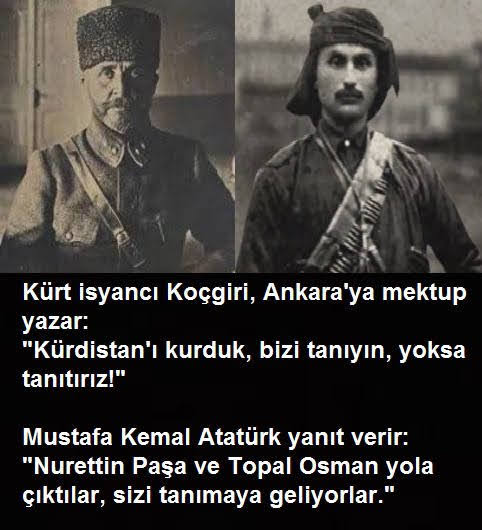 aydemir tweet media