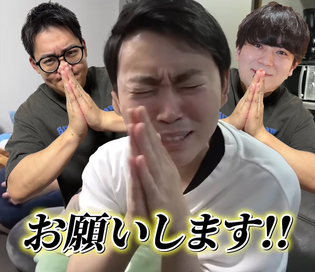 今日ポケ tweet media
