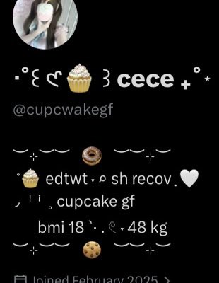‧˚꒰ 𑣲🧁 ꒱ cece ₊˚⋆ tweet media