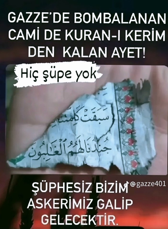 Sultan Ak tweet media