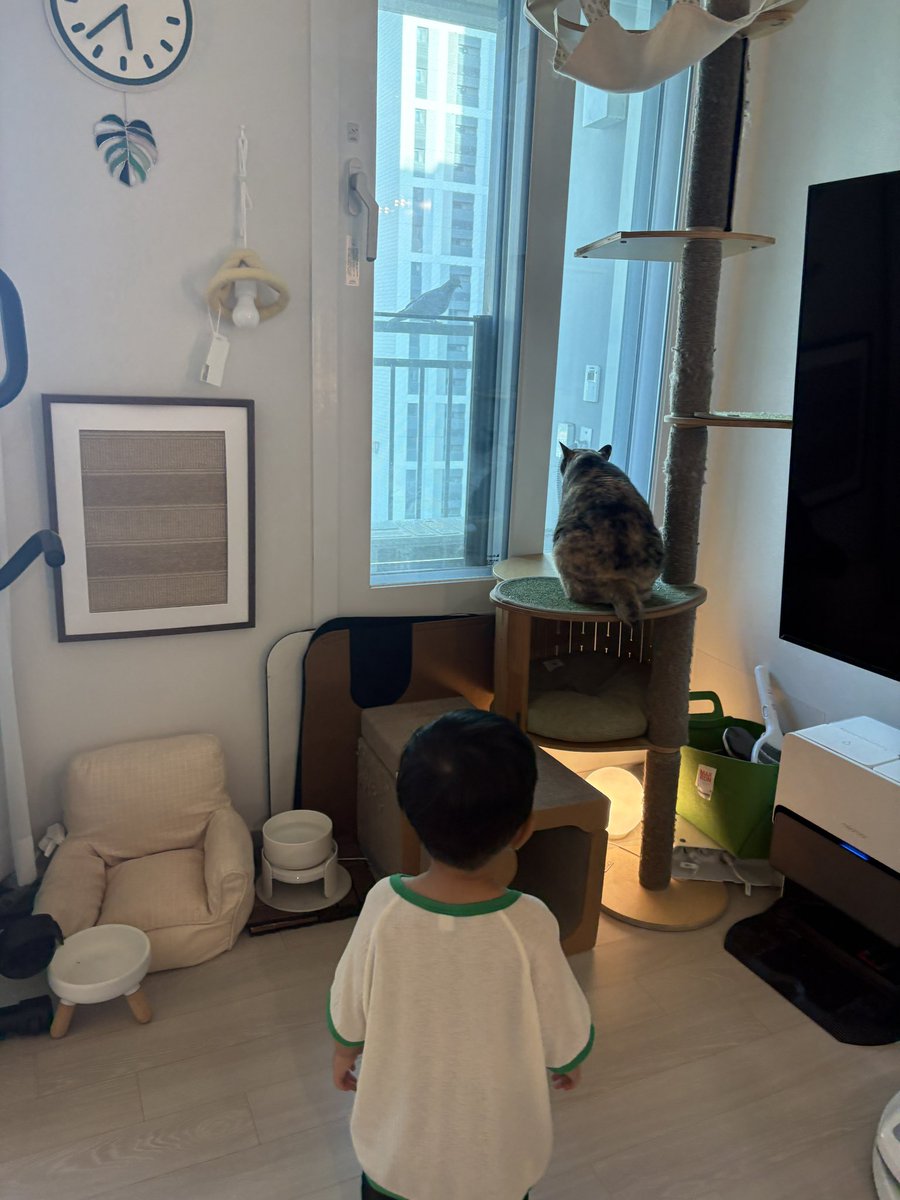 보리꼬리 tweet media