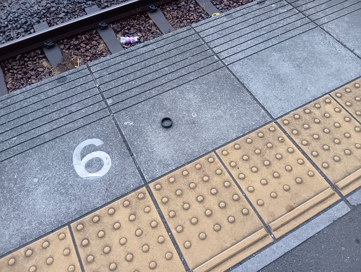 そうだら〜？（だら） tweet media