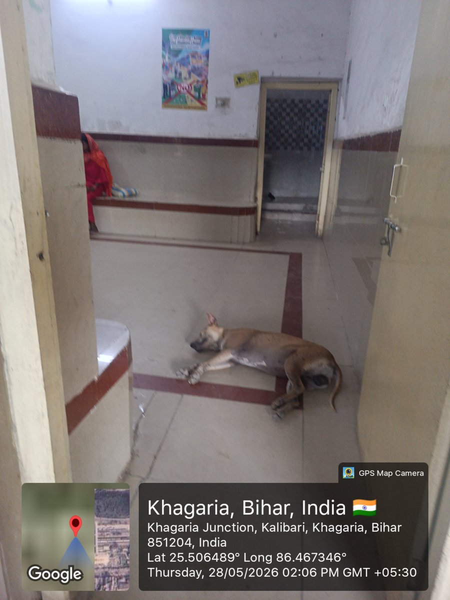 Shyamkr123's tweet photo. Kaghariya station me.. Waiting hall me Dog so rha hai..
@KhagariaDm
#railminister
#indianrailway
#waitinghall
@rail_seva
@RailMinIndia
@RailwaySeva https://t.co/vDfVCJuEK5