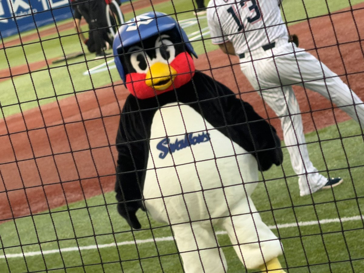 koki1971's tweet photo. 本日のつば九郎
#つば九郎
#ヤクルトスワローズ https://t.co/pE6fJwqueO