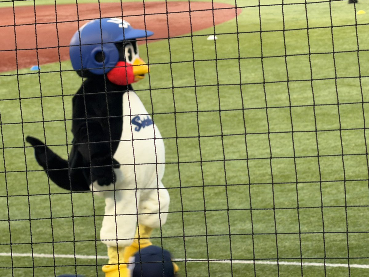 koki1971's tweet photo. 本日のつば九郎
#つば九郎
#ヤクルトスワローズ https://t.co/pE6fJwqueO