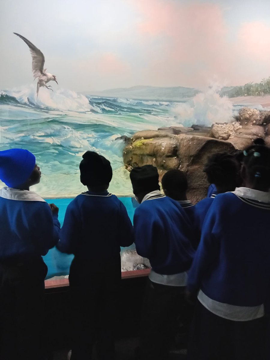 326project's tweet photo. We had a fun and educational outing at the Delta Environmental filled with nature, learning and adventure. The children were excited to spot animals in their natural habitats and loved the interactive puppet show on the importance of trees and the 3Rs: reduce, reuse, and recycle https://t.co/XYSqMhHtQo