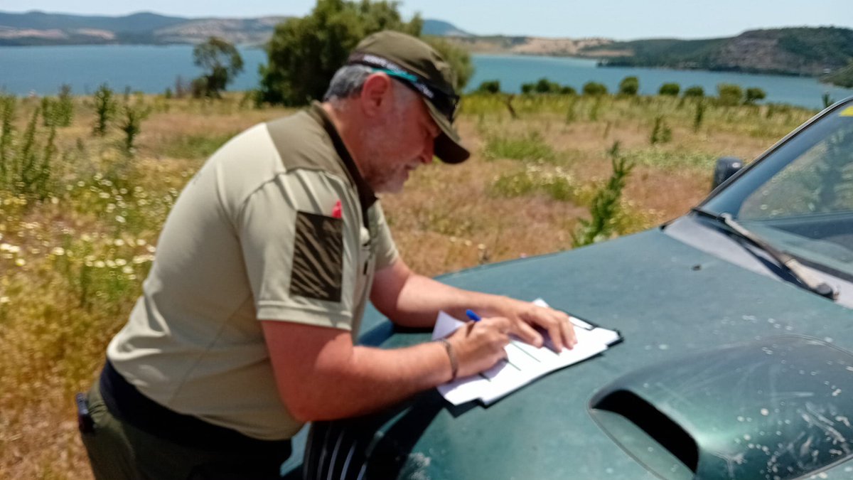 AAMM_And's tweet photo. Los Agentes Medioambientales han colaborado en el traslado desde el CREA de tres pollos de águila pescadora, cuyo nido cayó por el fuerte viento de Levante.

Tras la revisión veterinaria y la instalación de un nido artificial, los ejemplares han regresado al medio natural. https://t.co/4wQXS5wdeF