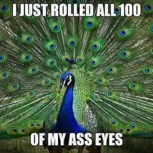 The Daily Dragging LLC tweet media