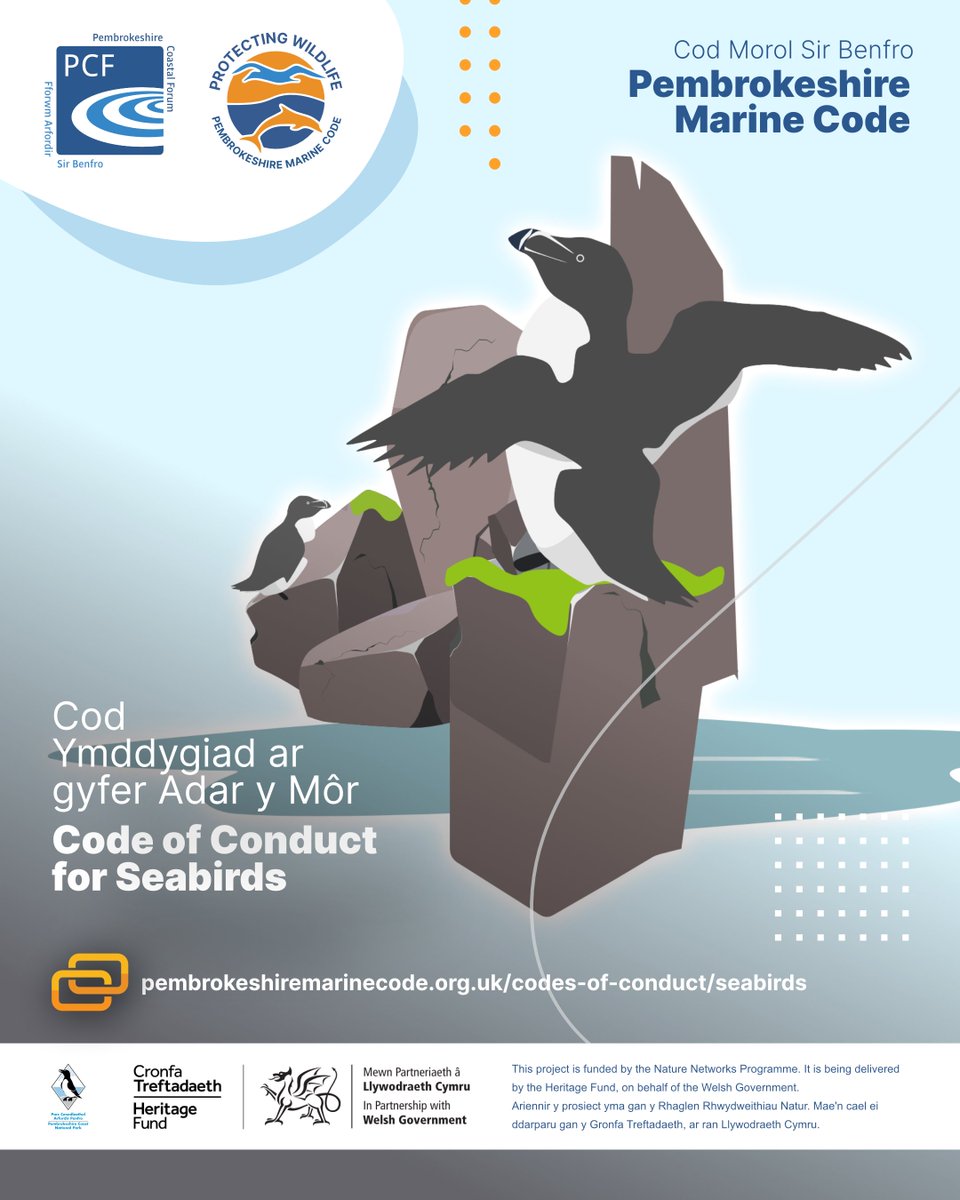 PCFCIC's tweet photo. 🔔 𝗢𝗯𝘀𝗲𝗿𝘃𝗲 𝗯𝗶𝗿𝗱𝘀’ 𝗿𝗲𝗮𝗰𝘁𝗶𝗼𝗻𝘀 𝗳𝗿𝗼𝗺 𝗮 𝗱𝗶𝘀𝘁𝗮𝗻𝗰𝗲.
Head craning, wing flapping, or repeated movement can be signs of disturbance.

If birds react, step back and give them space.

🔗 Follow the Pembrokeshire Marine Code:
https://t.co/NX6rIdycKb https://t.co/ItgZWYzvQE
