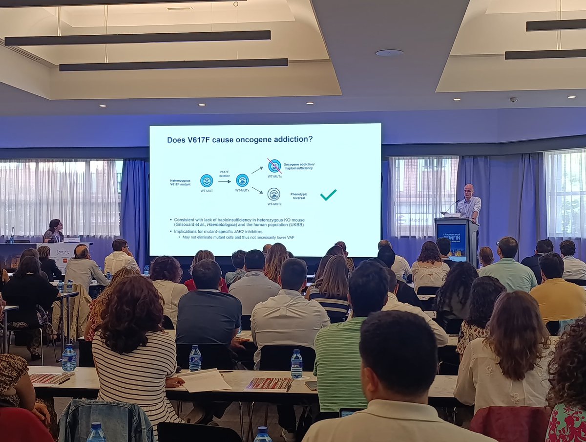 sehh_es's tweet photo. Hoy tiene lugar en #Madrid la X Reunión Anual de #GEMFIN donde se hará una profunda #actualización en enfermedades mieloproliferativas crónicas filadelfia negativas @GonzaloHEM @jvalentingg https://t.co/SNMNWrED1C