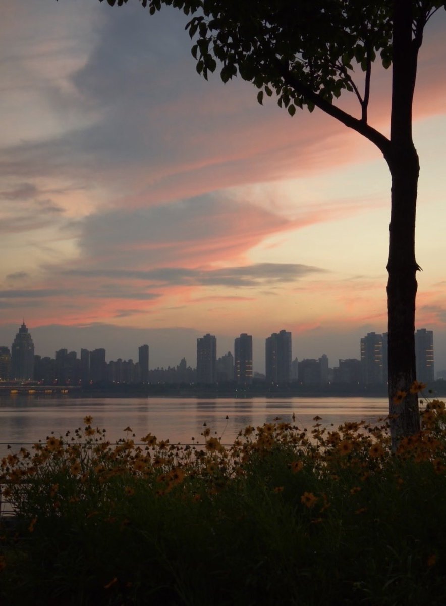 immengqi27's tweet photo. Evening walk along the Nanchang riverfront. Beautiful view, but the mosquitoes were brutal. 🦟 Worth it? Almost.
#Nanchang #RiversideWalk https://t.co/AhAXurZPir