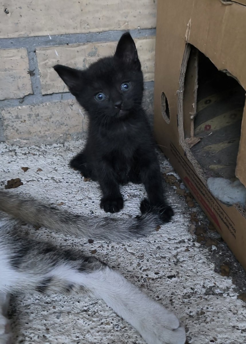 Wild child _zauvek tweet media