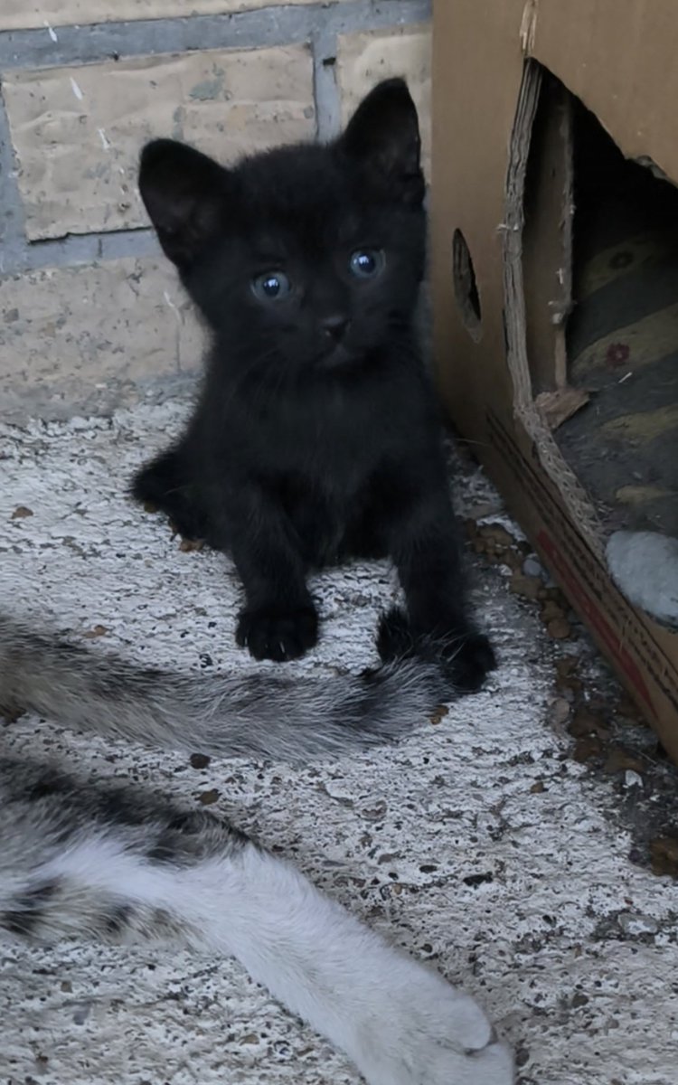 Wild child _zauvek tweet media