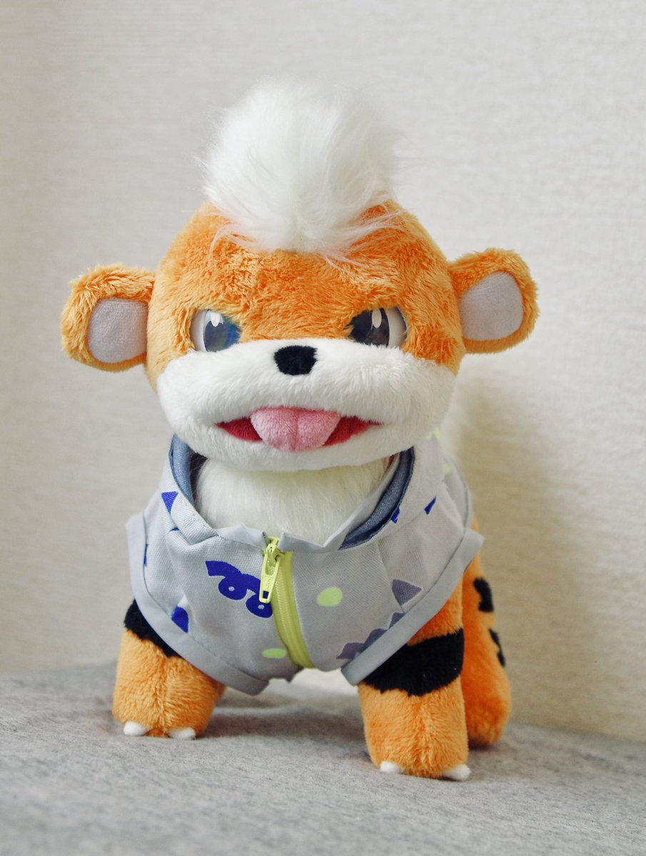 k777_3n's tweet photo. 型紙作るのから数えたら3ヶ月くらいかかった気がするけど、やっっとガーディのぬいぐるみ完成した〜😭ｶﾜｲｲ🫶
作ってる途中で思いつきで口開けバージョン追加したり、カボションアイにしたの大変だったけど苦労した甲斐がある可愛さで満足。
ついでに作った洋服もいい感じ🙌
#ポケモン手芸部 https://t.co/IUt5v7nss5