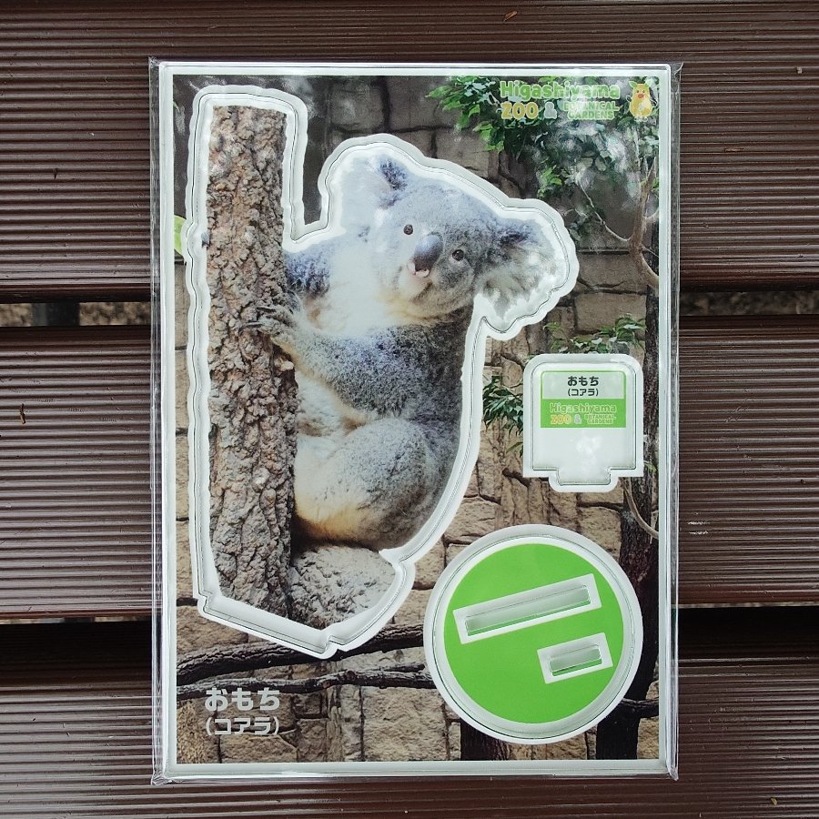 おもちちゃんのアクリルスタンドを購入🥰 #おもち #コアラ #東山動植物園