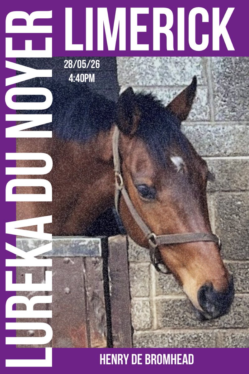 PimlicoRacing's tweet photo. 🟣    LUREKA DU NOYER    🟣

📍 @LimerickRaces 

⏰ 4:40pm

🏇 @HenrydeBromhead 
🏇 @DarraghOKeeffe8 

#PimlicoRacing https://t.co/t6lfcclks6
