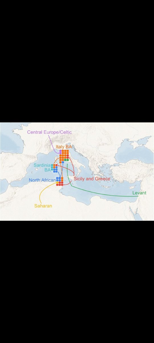khalil_omrani's tweet photo. @Ioriyagami4119 @scara_93 That is the dna of carthaginian that is sience you can Stfu now and the your cuntry is only 64 years old https://t.co/1aVtQA7hbD