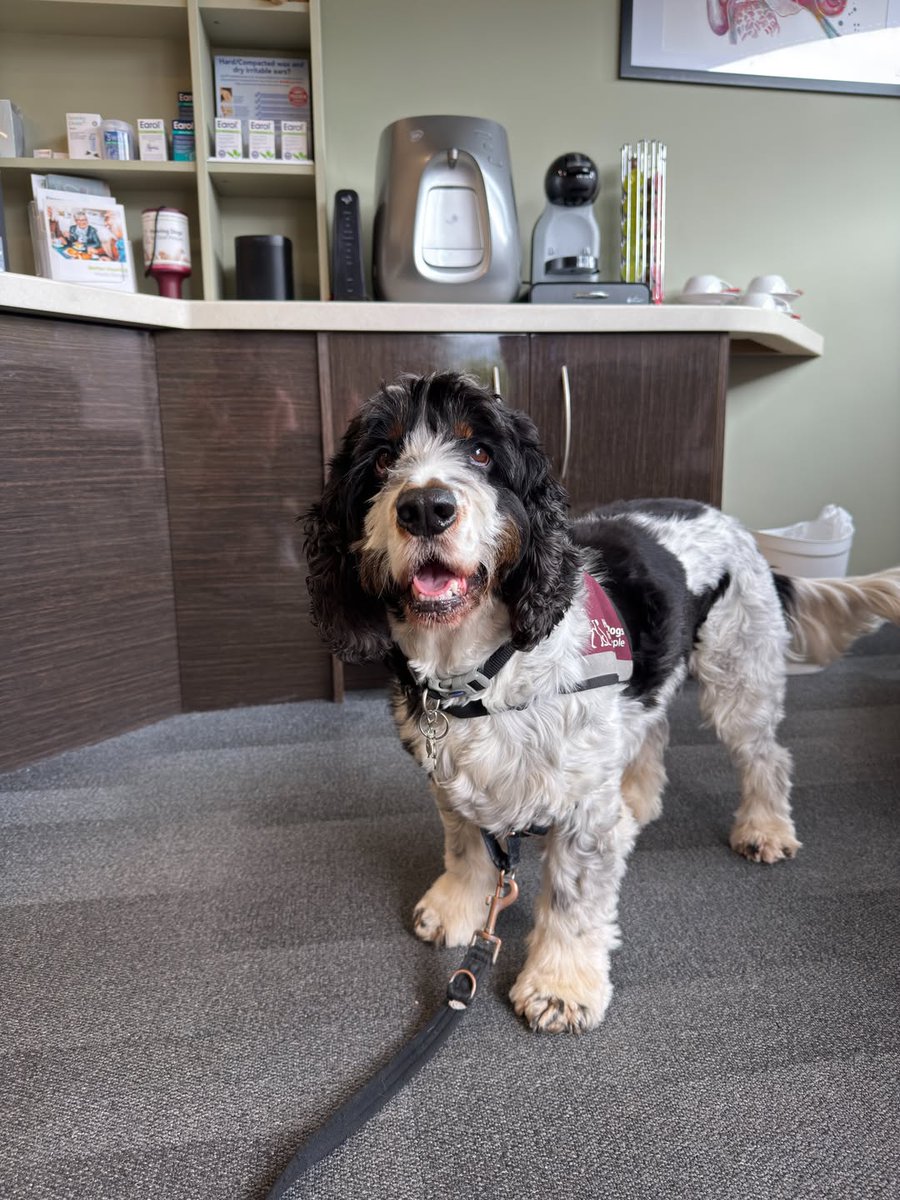 HearingDogs's tweet photo. Visiting an audiologist can be daunting, but hearing dog Wilbur is all smiles!

Wilbur always does a super job when he's out with his deaf partner, Lucy, no matter where they go.

If you've noticed a change in your hearing, follow Wilbur's lead and visit an audiologist 🐾 https://t.co/NVghhMTvwQ