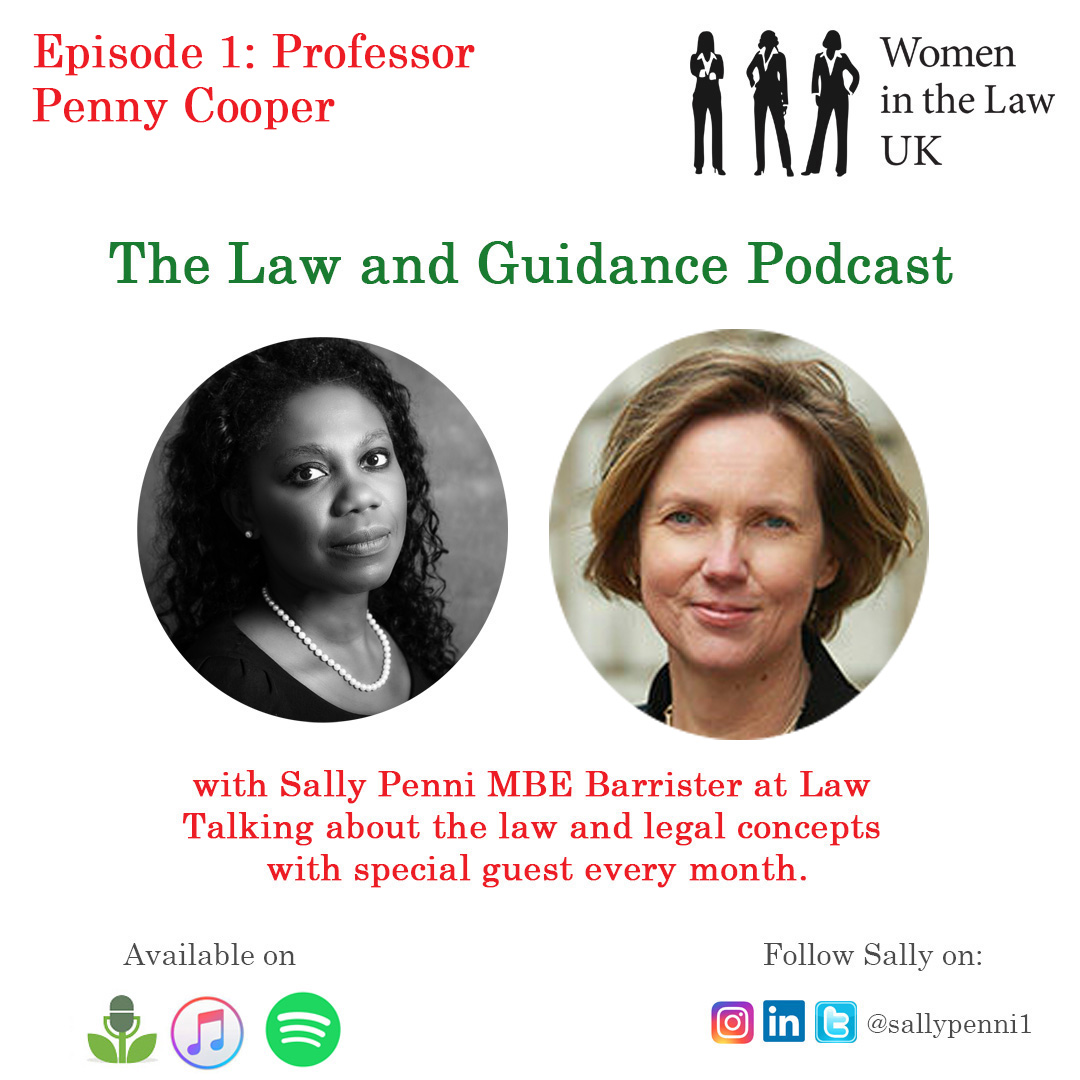 LawGuidePodcast's tweet photo. The #LawandGuidance #Podcast - @sallypenni1 interviews Professor Penny Cooper about the #laws surrounding the use of #intermediaries. Click here to listen now: https://t.co/PBtoFNGwzq #SallyPenni #CriminalLaw #Law #lawfirms #legalexpert @LawGuidePodcast https://t.co/pjhj3qPYyu